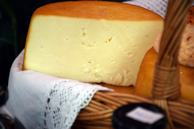 다양한 치즈 종류 10가지